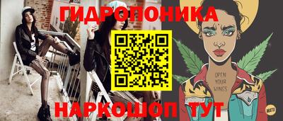 стаф Гусев